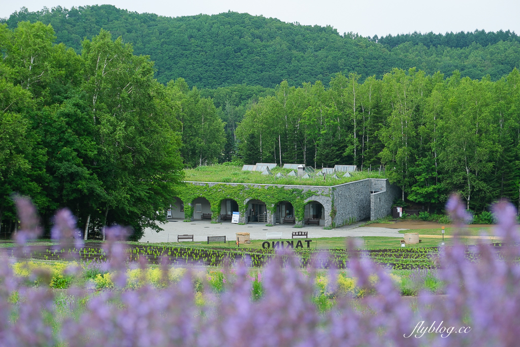 日本北海道｜國營瀧野鈴蘭丘陵公園．札幌親子旅遊景點，夏天賞花冬天玩雪 @飛天璇的口袋