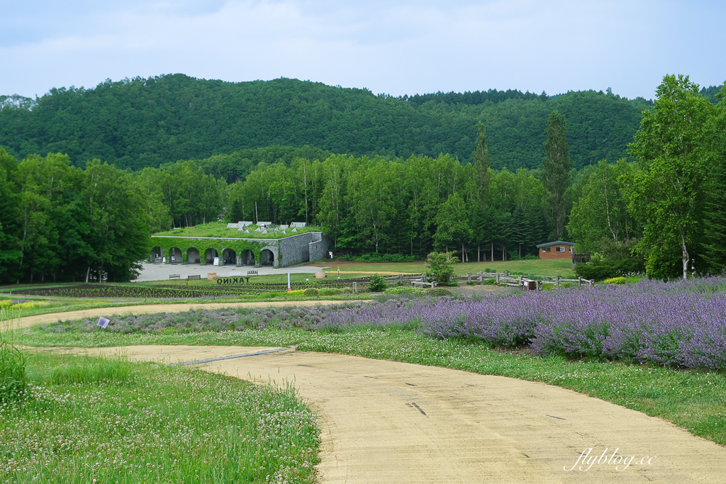 日本北海道｜國營瀧野鈴蘭丘陵公園．札幌親子旅遊景點，夏天賞花冬天玩雪 @飛天璇的口袋