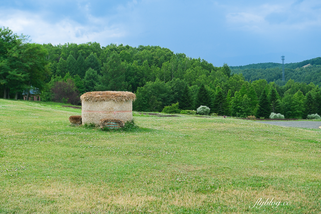 日本北海道｜國營瀧野鈴蘭丘陵公園．札幌親子旅遊景點，夏天賞花冬天玩雪 @飛天璇的口袋