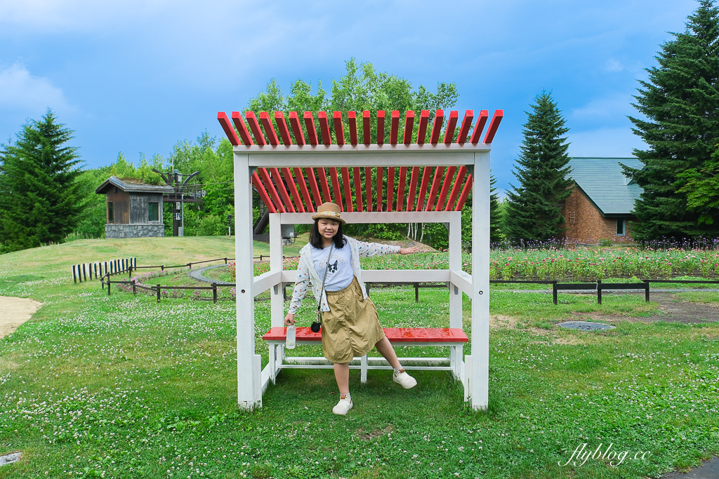 日本北海道｜國營瀧野鈴蘭丘陵公園．札幌親子旅遊景點，夏天賞花冬天玩雪 @飛天璇的口袋