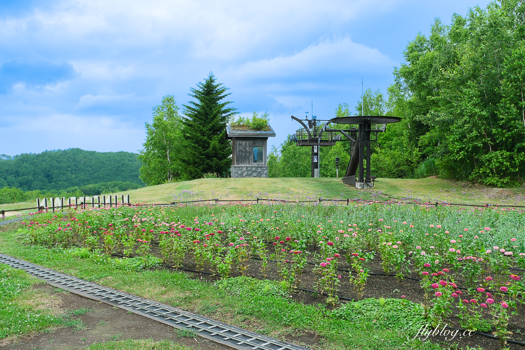 日本北海道｜國營瀧野鈴蘭丘陵公園．札幌親子旅遊景點，夏天賞花冬天玩雪 @飛天璇的口袋