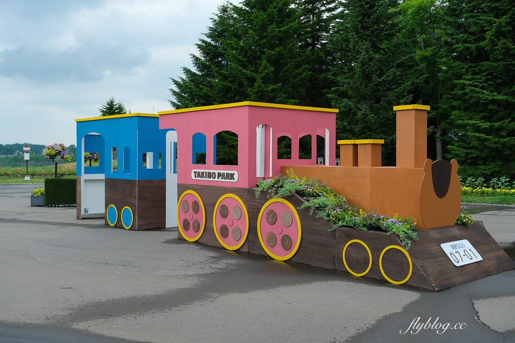 日本北海道｜國營瀧野鈴蘭丘陵公園．札幌親子旅遊景點，夏天賞花冬天玩雪 @飛天璇的口袋