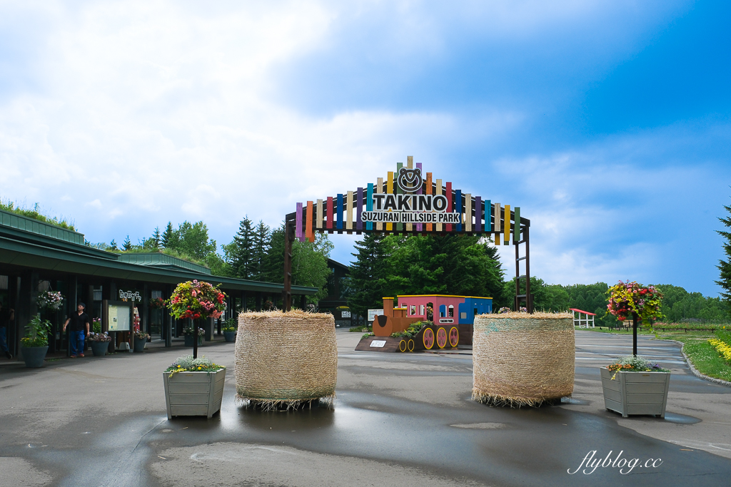 日本北海道｜國營瀧野鈴蘭丘陵公園．札幌親子旅遊景點，夏天賞花冬天玩雪 @飛天璇的口袋