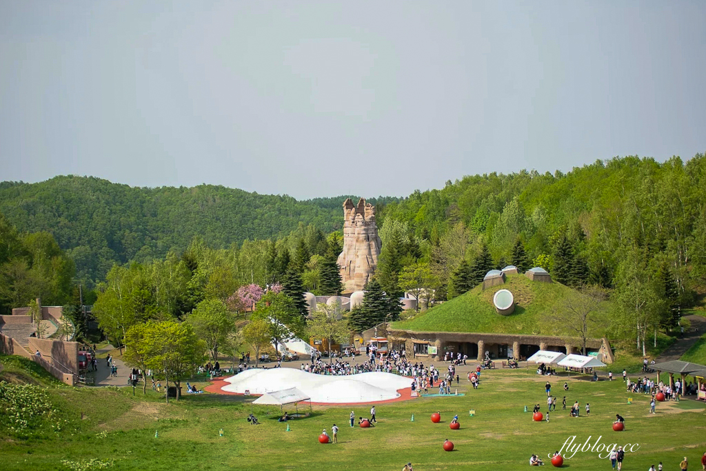 日本北海道｜國營瀧野鈴蘭丘陵公園．札幌親子旅遊景點，夏天賞花冬天玩雪 @飛天璇的口袋