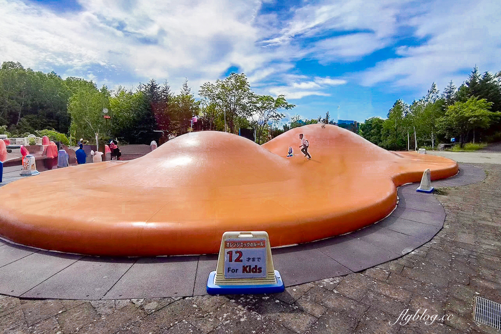 日本北海道｜國營瀧野鈴蘭丘陵公園．札幌親子旅遊景點，夏天賞花冬天玩雪 @飛天璇的口袋