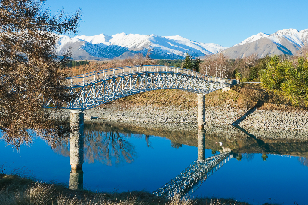 紐西蘭南島｜蒂卡波湖 Lake Tekapo．全球七大星空保護區，紐西蘭一級遺產牧羊人教堂 @飛天璇的口袋
