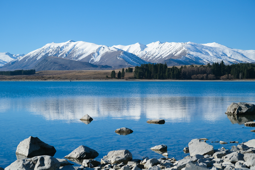 紐西蘭南島｜蒂卡波湖 Lake Tekapo．全球七大星空保護區，紐西蘭一級遺產牧羊人教堂 @飛天璇的口袋