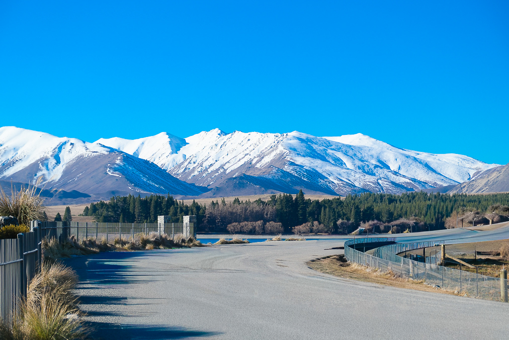 紐西蘭南島｜蒂卡波湖 Lake Tekapo．全球七大星空保護區，紐西蘭一級遺產牧羊人教堂 @飛天璇的口袋