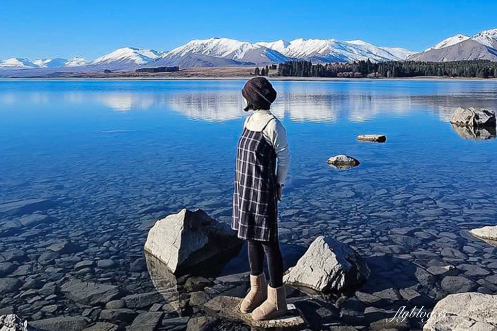 紐西蘭南島｜蒂卡波湖 Lake Tekapo．全球七大星空保護區，紐西蘭一級遺產牧羊人教堂 @飛天璇的口袋