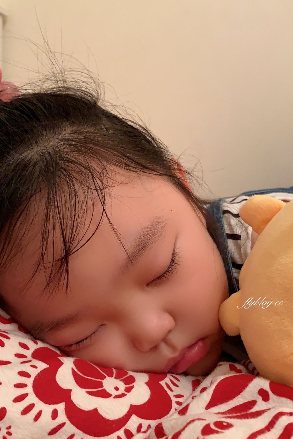 【減重心得】瘦了7公斤！從55.9~48.9的減重心得，最大的改變是生活態度 @飛天璇的口袋