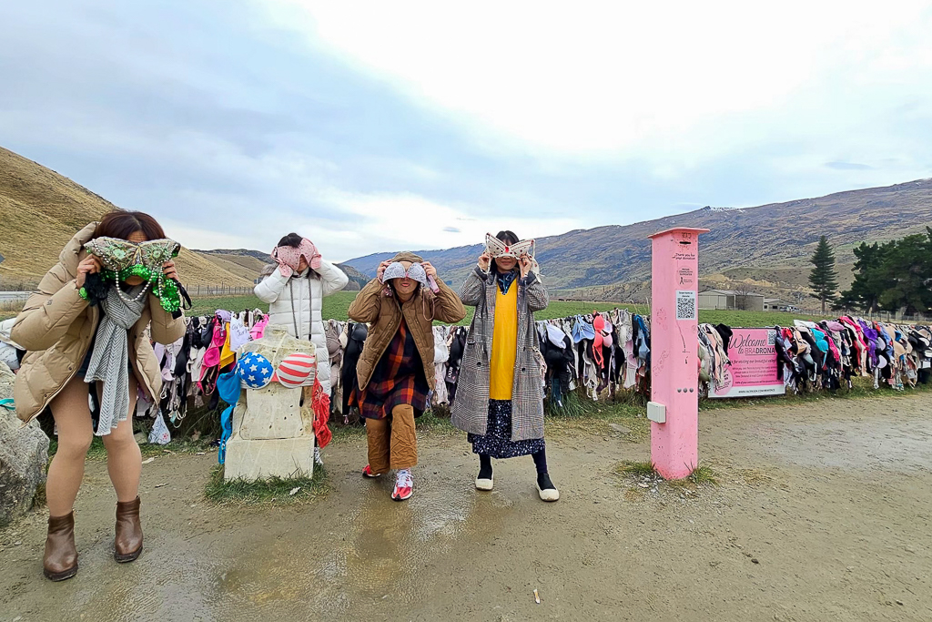 紐西蘭南島｜卡德羅納胸罩圍欄．著名的Cardrona Bra Fence，瓦納卡奇特打卡景點 @飛天璇的口袋