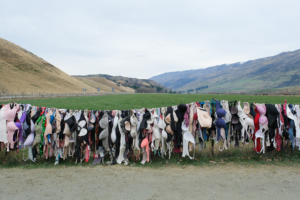 紐西蘭南島｜卡德羅納胸罩圍欄．著名的Cardrona Bra Fence，瓦納卡奇特打卡景點 @飛天璇的口袋