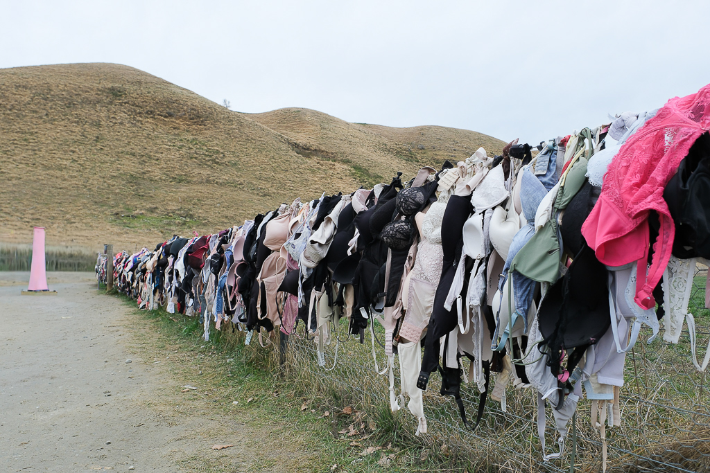 紐西蘭南島｜卡德羅納胸罩圍欄．著名的Cardrona Bra Fence，瓦納卡奇特打卡景點 @飛天璇的口袋