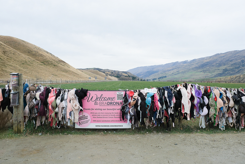 紐西蘭南島｜卡德羅納胸罩圍欄．著名的Cardrona Bra Fence，瓦納卡奇特打卡景點 @飛天璇的口袋