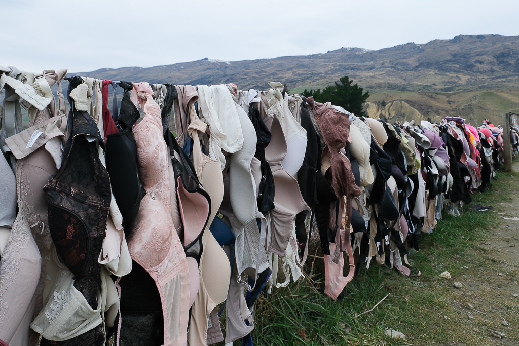 紐西蘭南島｜卡德羅納胸罩圍欄．著名的Cardrona Bra Fence，瓦納卡奇特打卡景點 @飛天璇的口袋