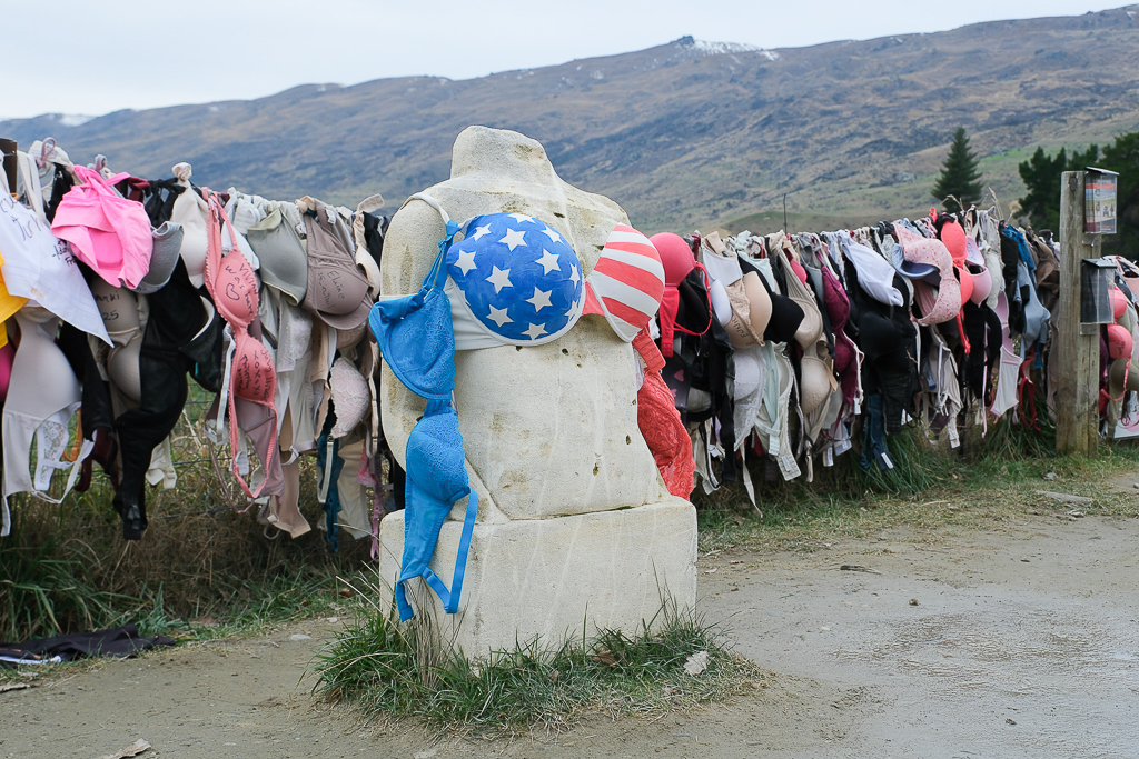紐西蘭南島｜卡德羅納胸罩圍欄．著名的Cardrona Bra Fence，瓦納卡奇特打卡景點 @飛天璇的口袋