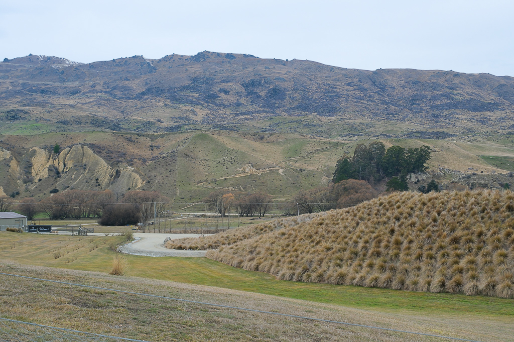 紐西蘭南島｜卡德羅納胸罩圍欄．著名的Cardrona Bra Fence，瓦納卡奇特打卡景點 @飛天璇的口袋