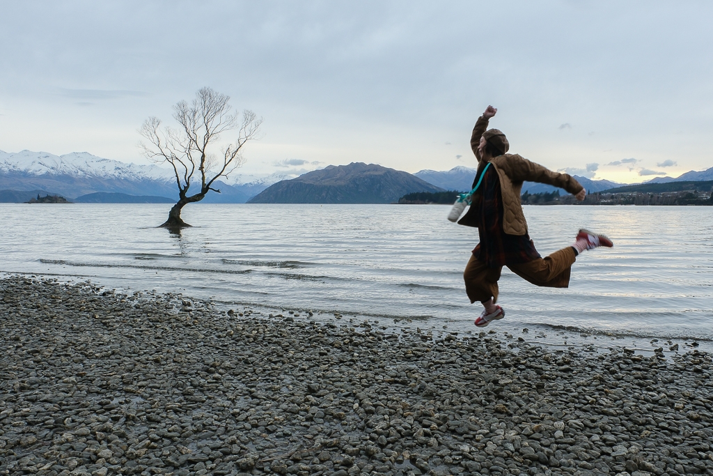 紐西蘭南島｜瓦納卡之樹 That Wānaka tree．全世界最孤獨的樹，南島必訪唯美小鎮 @飛天璇的口袋