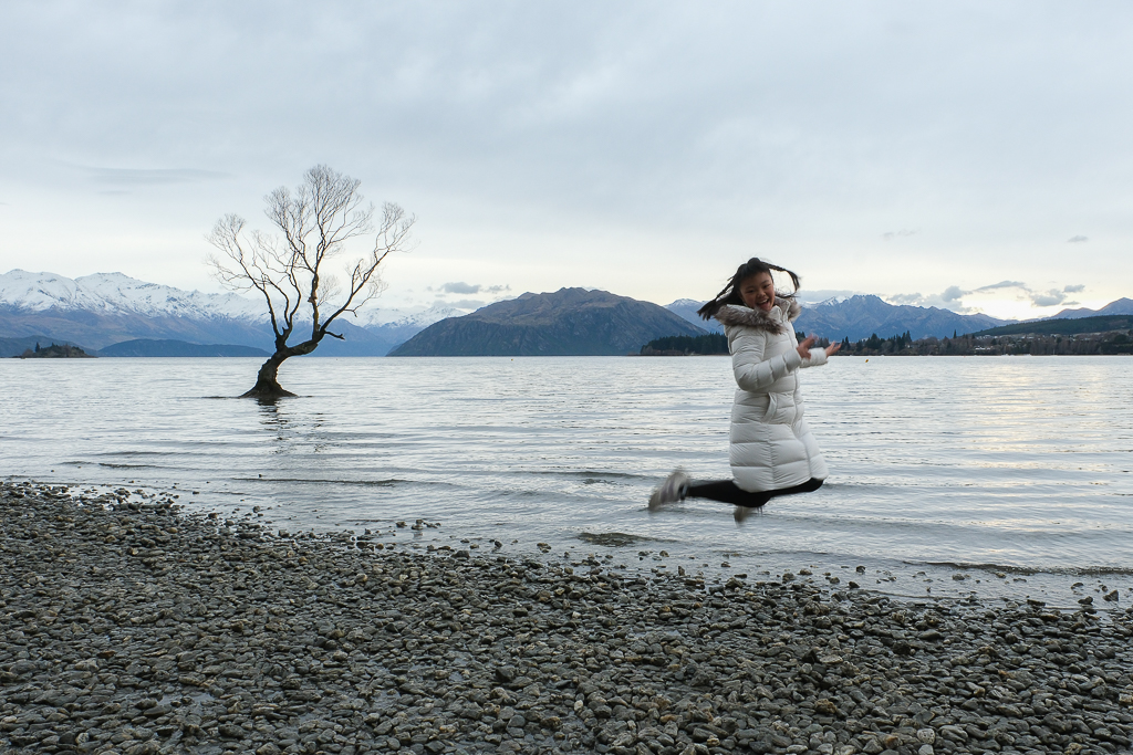 紐西蘭南島｜瓦納卡之樹 That Wānaka tree．全世界最孤獨的樹，南島必訪唯美小鎮 @飛天璇的口袋