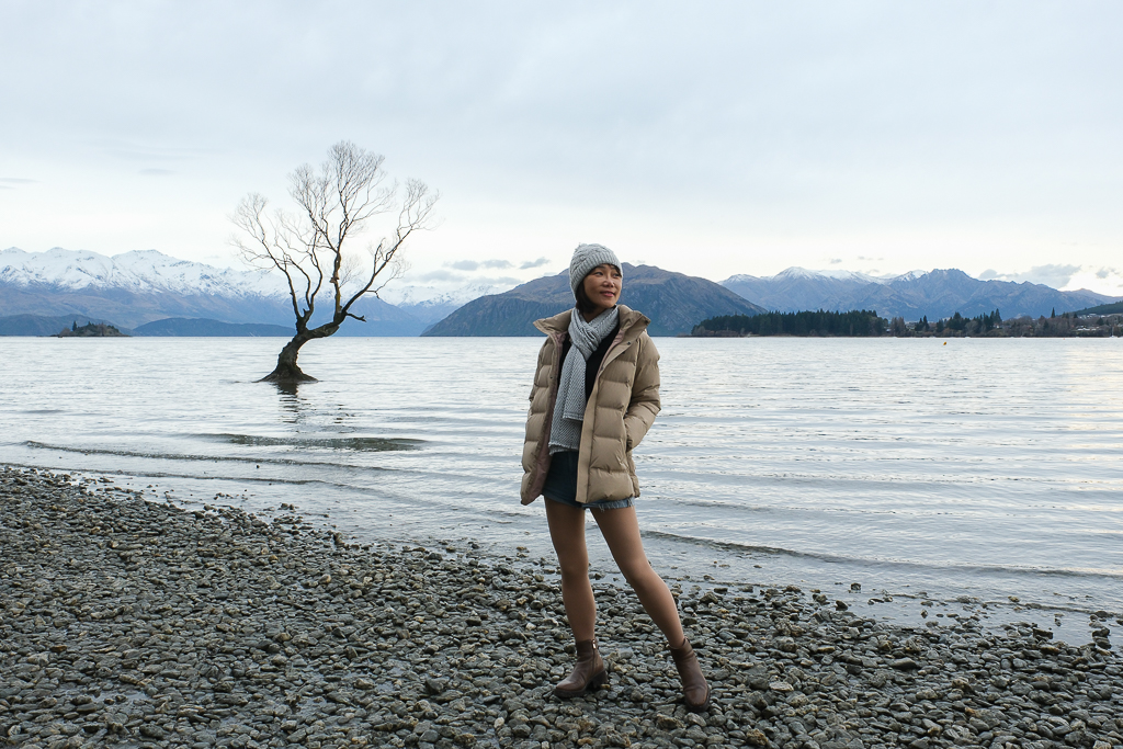 紐西蘭南島｜瓦納卡之樹 That Wānaka tree．全世界最孤獨的樹，南島必訪唯美小鎮 @飛天璇的口袋