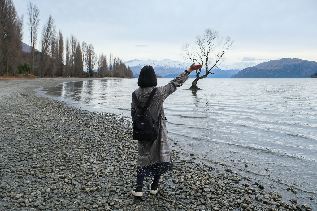 紐西蘭南島｜瓦納卡之樹 That Wānaka tree．全世界最孤獨的樹，南島必訪唯美小鎮 @飛天璇的口袋