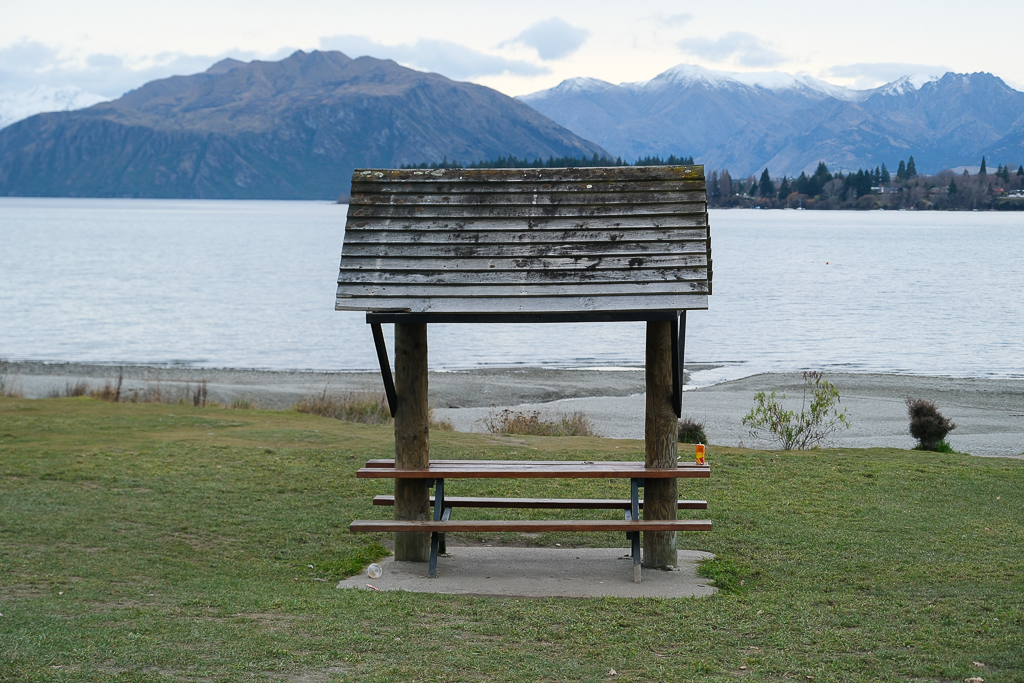 紐西蘭南島｜瓦納卡之樹 That Wānaka tree．全世界最孤獨的樹，南島必訪唯美小鎮 @飛天璇的口袋