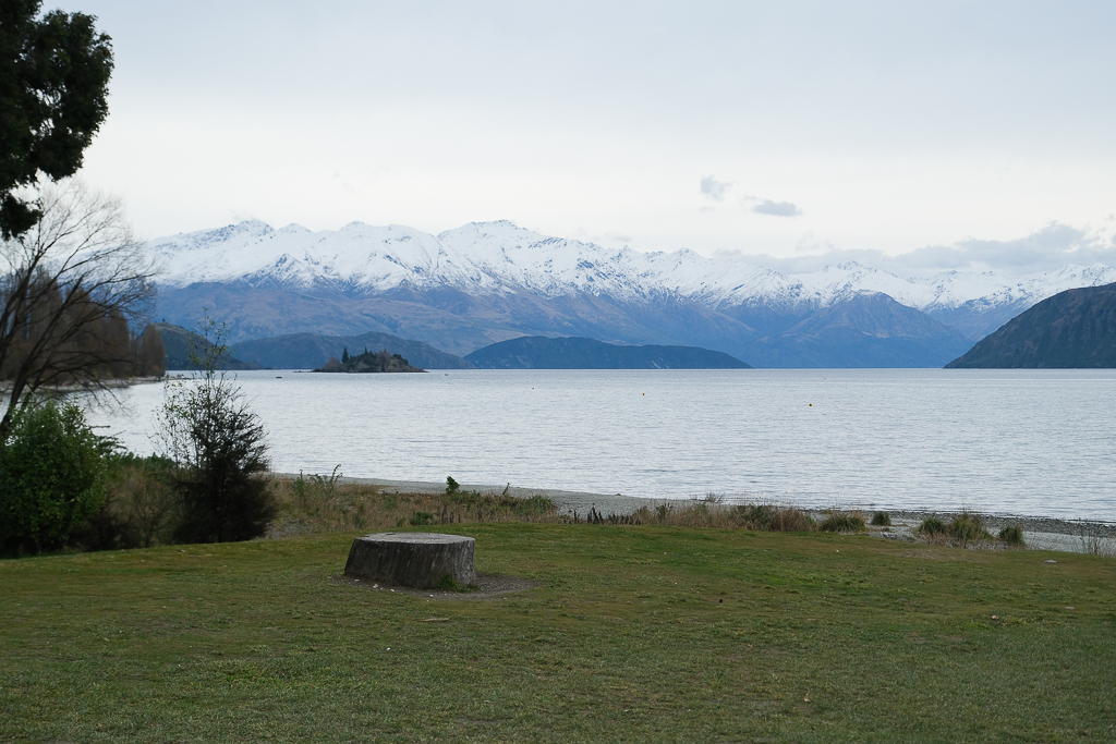 紐西蘭南島｜瓦納卡之樹 That Wānaka tree．全世界最孤獨的樹，南島必訪唯美小鎮 @飛天璇的口袋