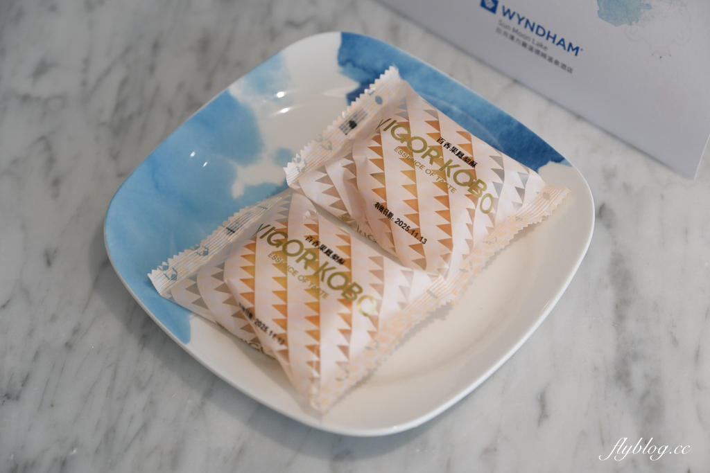 南投魚池｜日月潭力麗溫德姆溫泉酒店．日月潭國際級連鎖酒店，正對伊達邵老街鄰近碼頭 @飛天璇的口袋