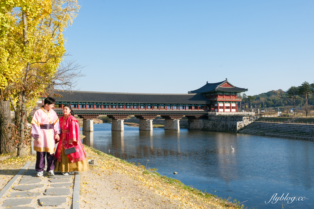 【釜山自由行】釜山5~7天自由行規劃，釜山美食景點住宿懶人包，釜山包車推薦！ @飛天璇的口袋