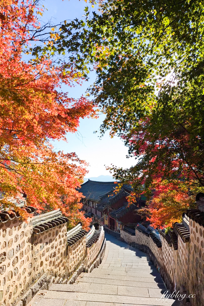 【釜山自由行】釜山5~7天自由行規劃，釜山美食景點住宿懶人包，釜山包車推薦！ @飛天璇的口袋