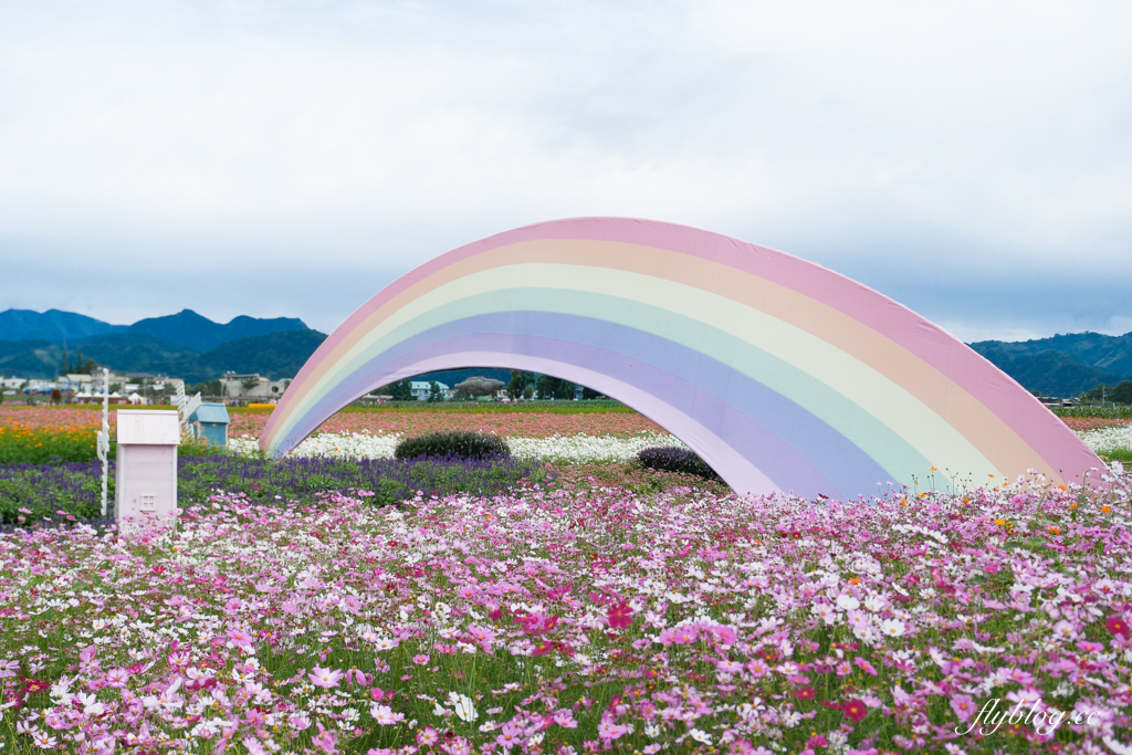 【2025新社花海】台中花毯節11/8登場，可愛的「飛天小女警」主題，三大亮點一次看 @飛天璇的口袋