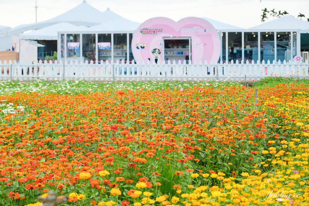 【2025新社花海】台中花毯節11/8登場，可愛的「飛天小女警」主題，三大亮點一次看 @飛天璇的口袋