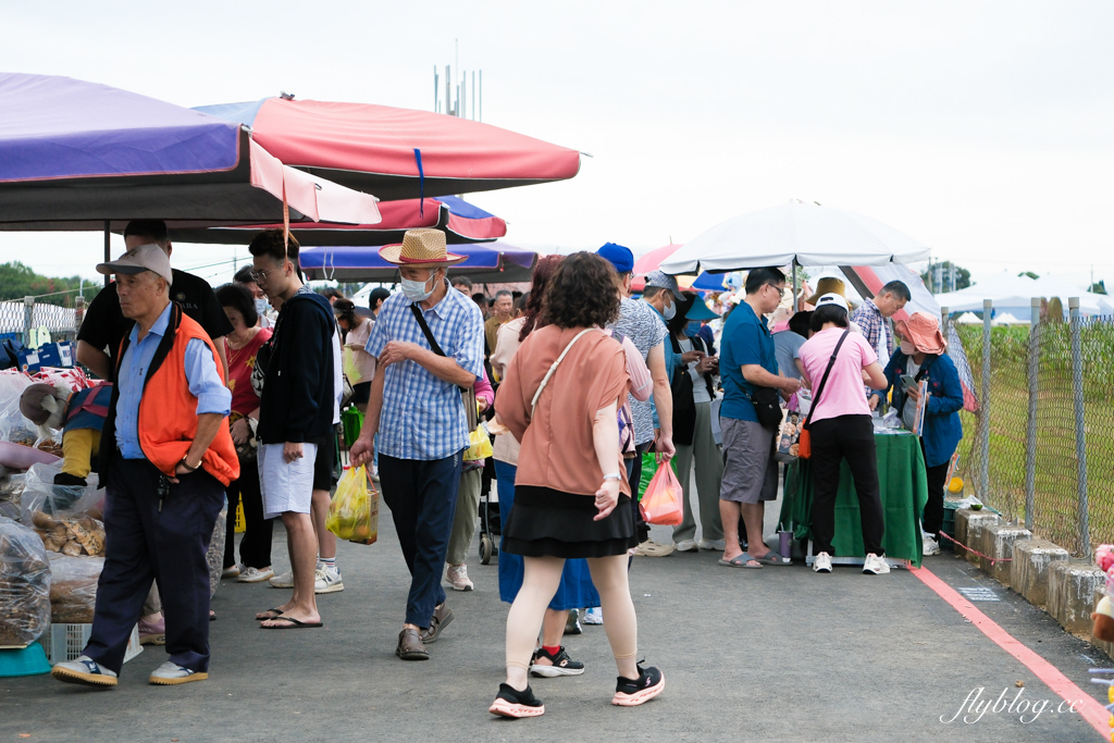【2025新社花海】台中花毯節11/8登場，可愛的「飛天小女警」主題，三大亮點一次看 @飛天璇的口袋