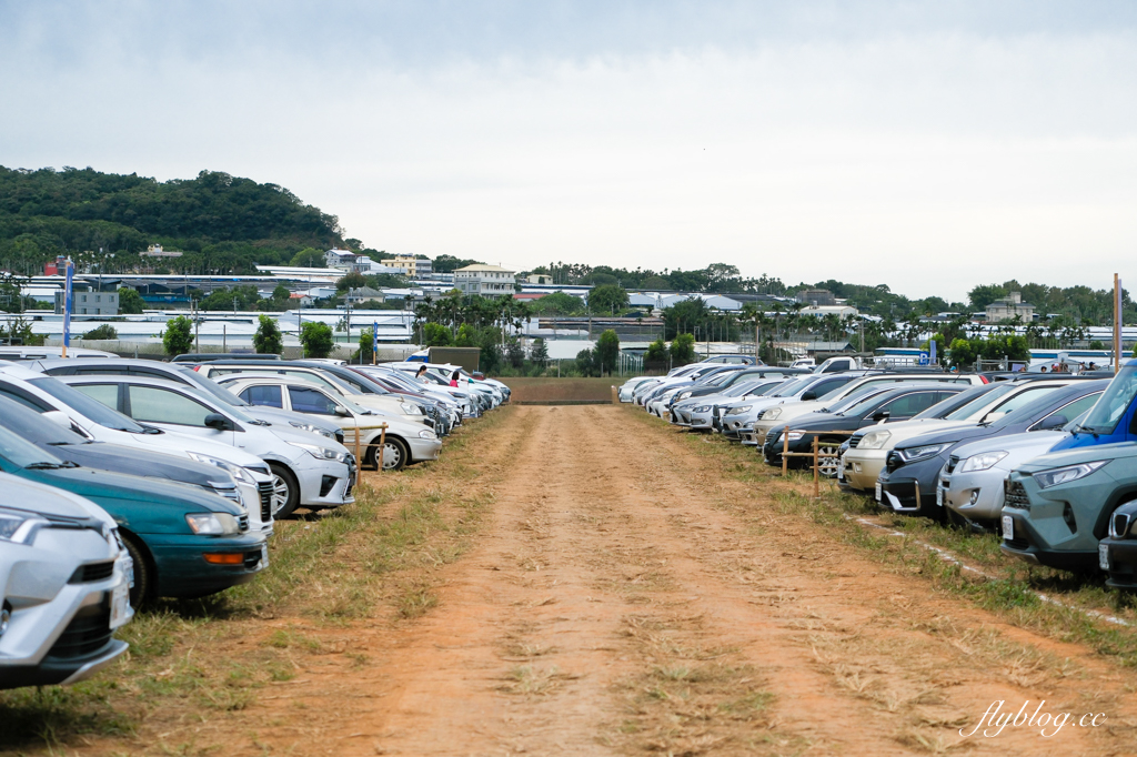 【2025新社花海】台中花毯節11/8登場，可愛的「飛天小女警」主題，三大亮點一次看 @飛天璇的口袋