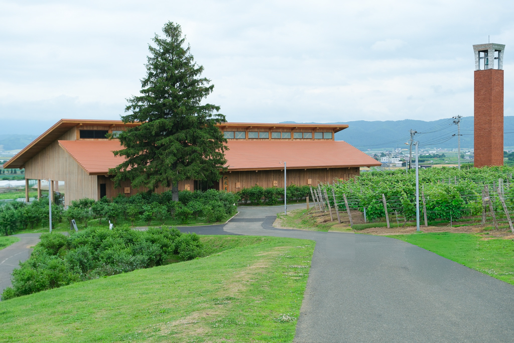 日本北海道｜六花亭富良野店 Campana．座落於葡萄園的絕美景觀，富良野落地窗咖啡館 @飛天璇的口袋