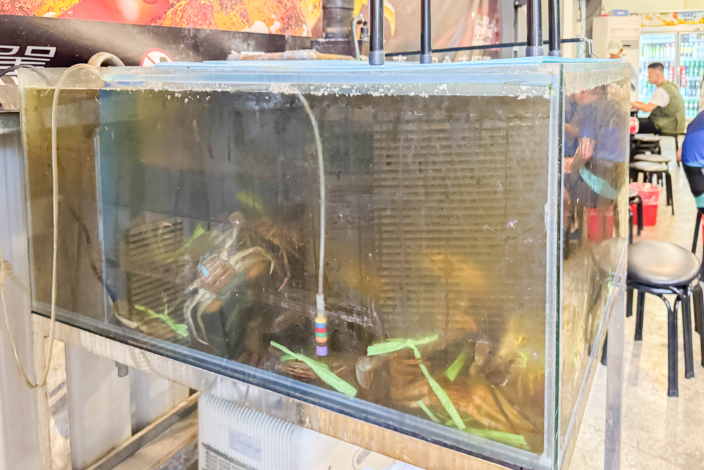 台中北屯｜味首席紅蟳薑母鴨．現點現撈的紅蟳，還有鹹菜鴨肉湯，一年四季不休息 @飛天璇的口袋