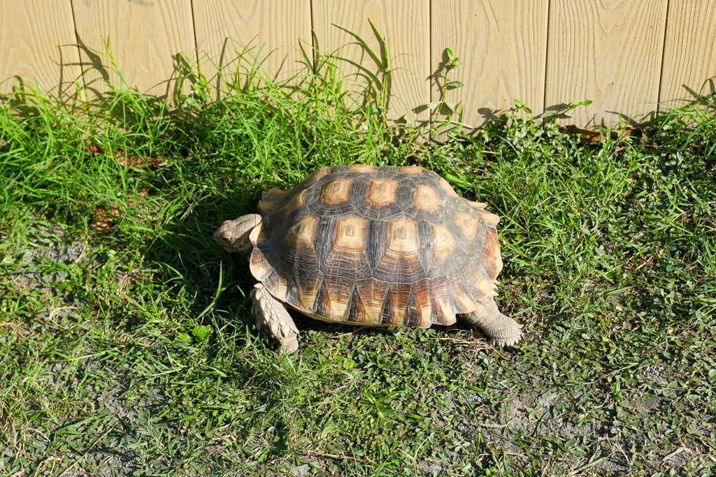 台中西屯｜那日那茶．坐落田野間的中式茶屋，在庭院圍爐煮茶品茗 @飛天璇的口袋