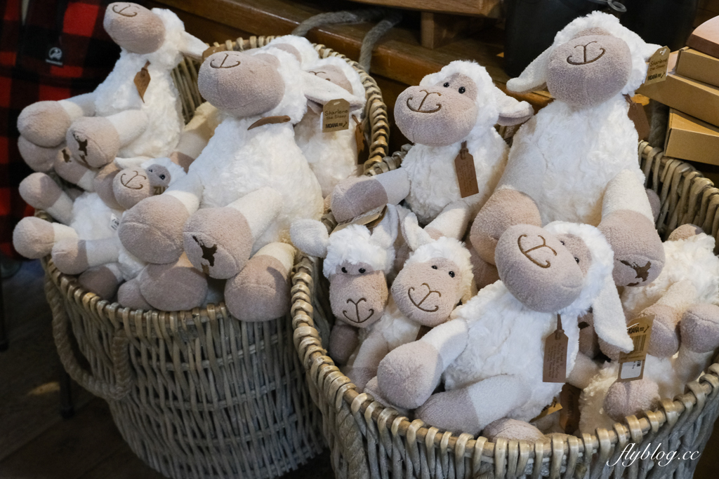 紐西蘭南島|TSS 恩斯羅號蒸汽船遊船.瓦爾特峰BBQ百匯吃到飽,一飽皇后鎮瓦卡蒂普湖之美 @飛天璇的口袋 紐西蘭南島|TSS 恩斯羅號蒸汽船遊船.瓦爾特峰BBQ百匯吃到飽,一飽皇后鎮瓦卡蒂普湖之美 @飛天璇的口袋