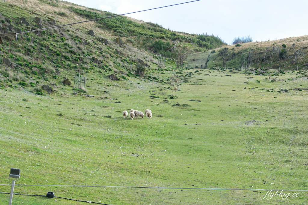 紐西蘭南島|TSS 恩斯羅號蒸汽船遊船.瓦爾特峰BBQ百匯吃到飽,一飽皇后鎮瓦卡蒂普湖之美 @飛天璇的口袋 紐西蘭南島|TSS 恩斯羅號蒸汽船遊船.瓦爾特峰BBQ百匯吃到飽,一飽皇后鎮瓦卡蒂普湖之美 @飛天璇的口袋