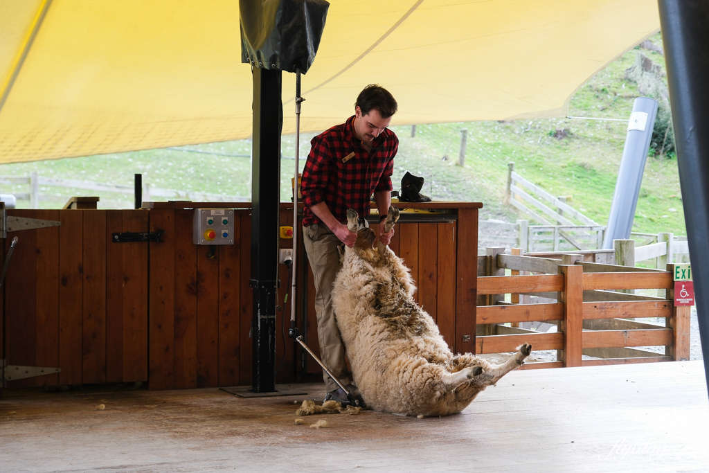 紐西蘭南島｜TSS 恩斯羅號蒸汽船遊船．瓦爾特峰BBQ百匯吃到飽，一飽皇后鎮瓦卡蒂普湖之美 @飛天璇的口袋
