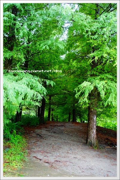 【花蓮旅遊景點】雲山水生態農莊。美如仙境的夢幻湖，後山的世外桃源 @飛天璇的口袋
