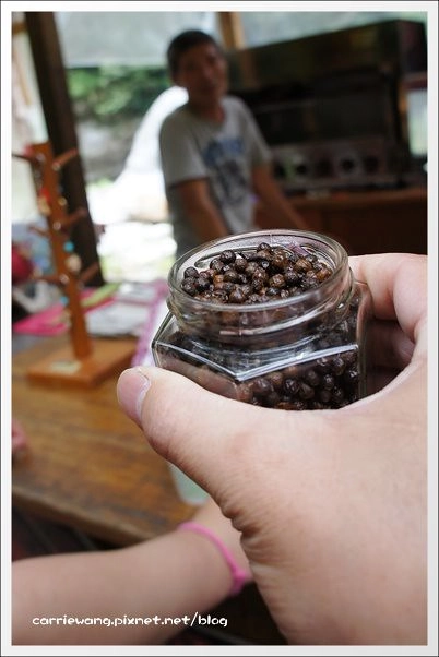 花蓮秀林｜砂卡噹步道．花蓮太魯閣國家公園的山林步道，不用辦理入山證的神秘谷 @飛天璇的口袋