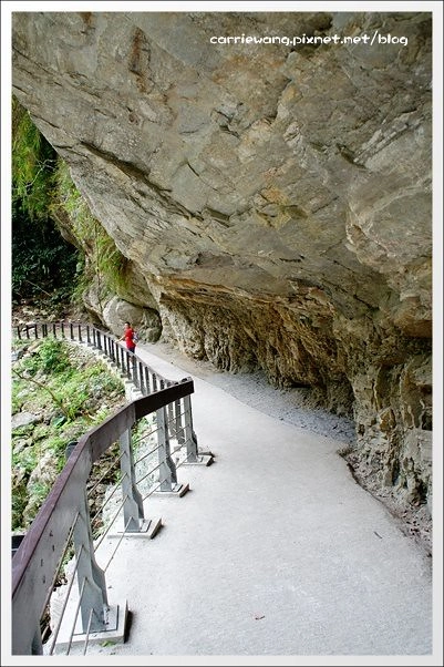 花蓮秀林｜砂卡噹步道．花蓮太魯閣國家公園的山林步道，不用辦理入山證的神秘谷 @飛天璇的口袋