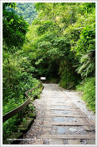 花蓮秀林｜砂卡噹步道．花蓮太魯閣國家公園的山林步道，不用辦理入山證的神秘谷 @飛天璇的口袋