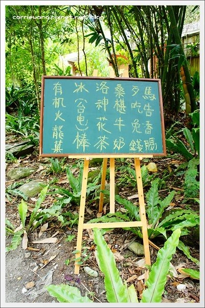 花蓮秀林｜砂卡噹步道．花蓮太魯閣國家公園的山林步道，不用辦理入山證的神秘谷 @飛天璇的口袋