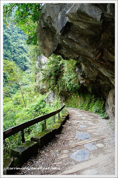 花蓮秀林｜砂卡噹步道．花蓮太魯閣國家公園的山林步道，不用辦理入山證的神秘谷 @飛天璇的口袋