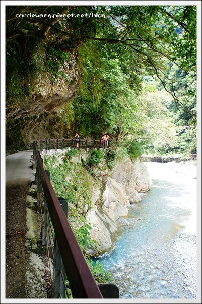 花蓮秀林｜砂卡噹步道．花蓮太魯閣國家公園的山林步道，不用辦理入山證的神秘谷 @飛天璇的口袋