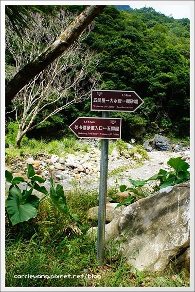 花蓮秀林｜砂卡噹步道．花蓮太魯閣國家公園的山林步道，不用辦理入山證的神秘谷 @飛天璇的口袋