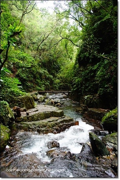 宜蘭礁溪｜林美石磐步道，有宜蘭小太魯閣之稱的林美步道，輕鬆遠離塵囂享受芬多精 @飛天璇的口袋