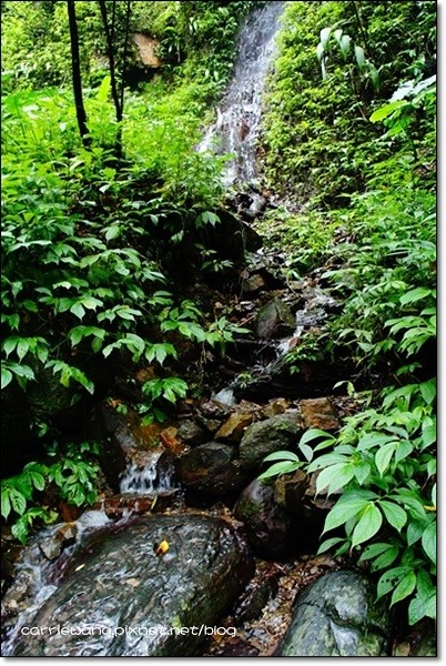 宜蘭礁溪｜林美石磐步道，有宜蘭小太魯閣之稱的林美步道，輕鬆遠離塵囂享受芬多精 @飛天璇的口袋